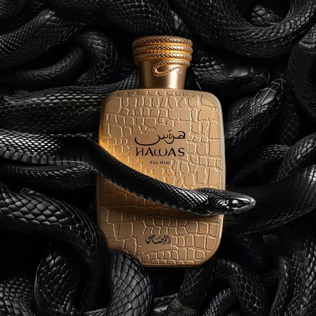 Hawas Viper 100ml EDP | Rasasi