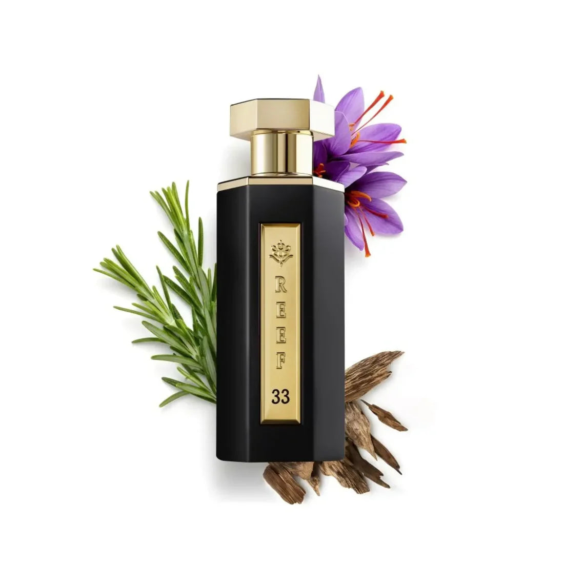 Reef 33 100ml EDP | Reef Perfumes